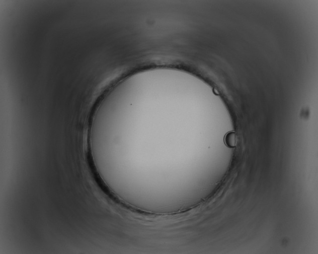 X0000101990019200807180835