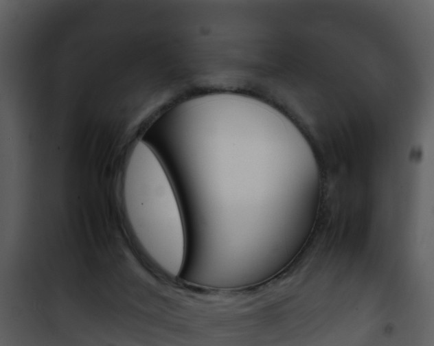 X0000101990020200807180835