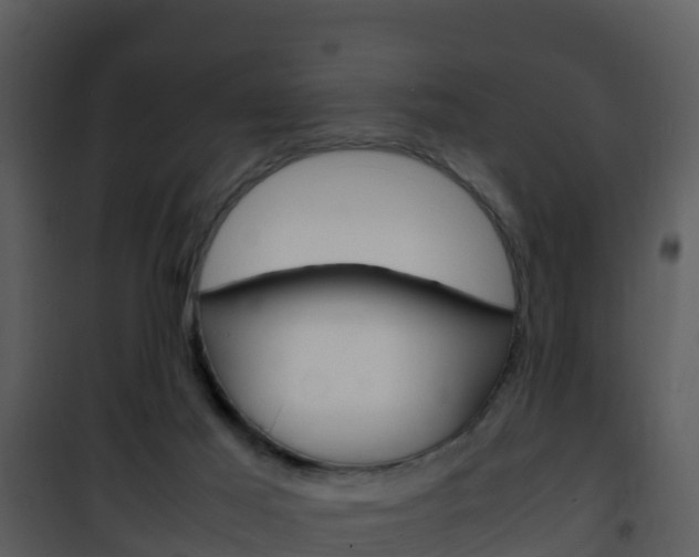 X0000101990021200807180835