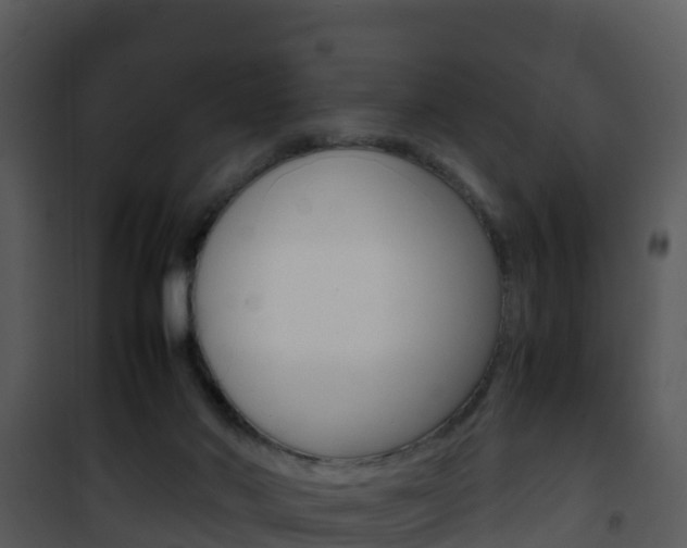 X0000101990022200807180835