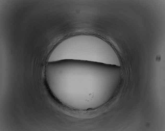 X0000101990023200807180835