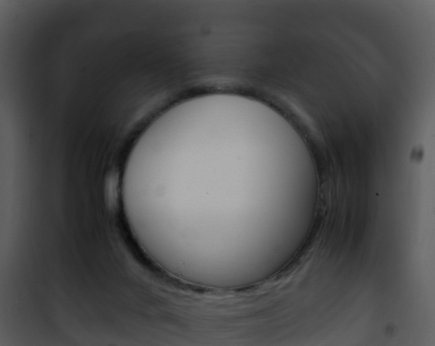 X0000101990024200807180835
