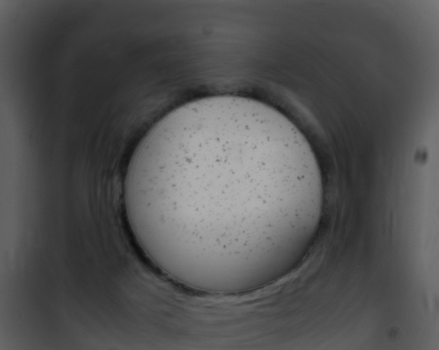 X0000101990025200807180835