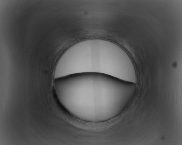 X0000101990027200807180835