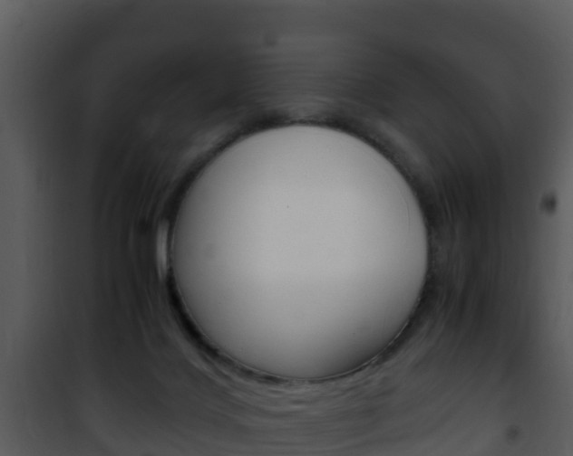 X0000101990028200807180835