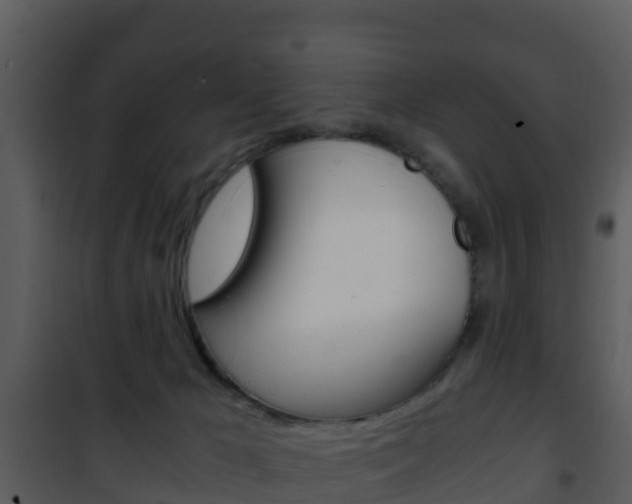 X0000101990029200807180835