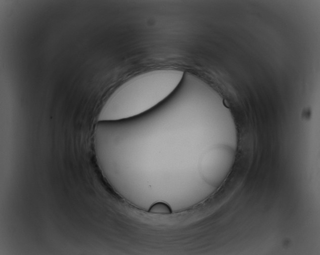 X0000101990030200807180835
