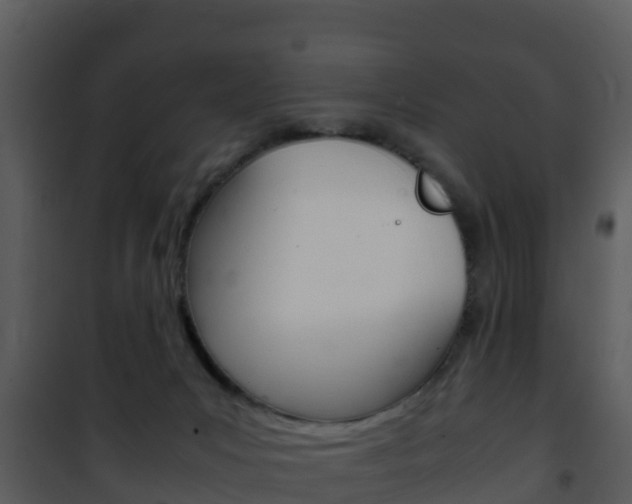 X0000101990031200807180835