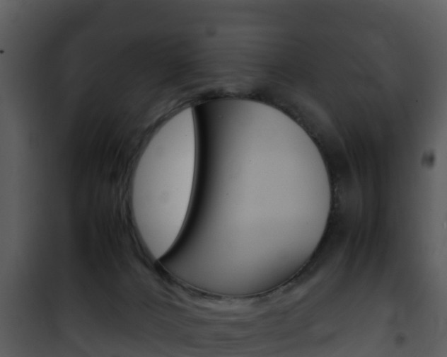 X0000101990032200807180835