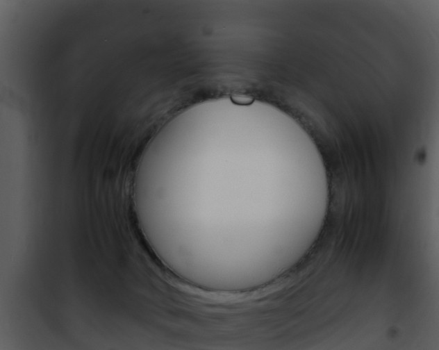 X0000101990034200807180835