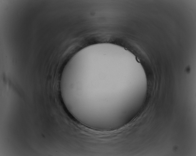 X0000101990035200807180835