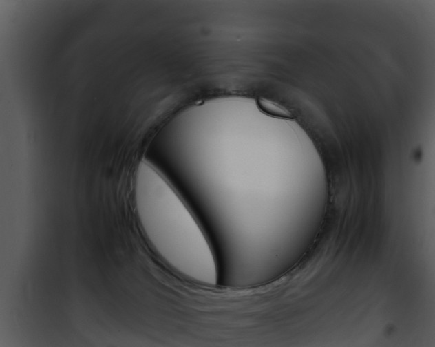 X0000101990036200807180835