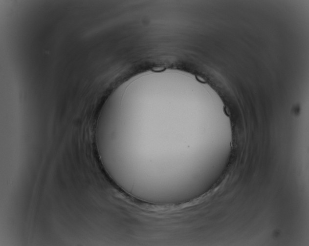 X0000101990037200807180835