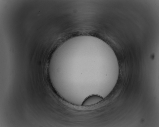 X0000101990038200807180835