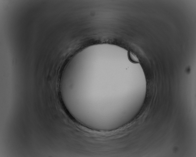 X0000101990039200807180835