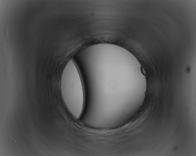 X0000101990040200807180835