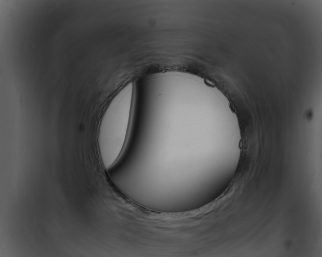 X0000101990041200807180835
