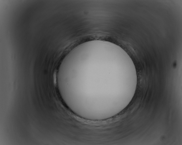 X0000101990042200807180835