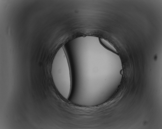 X0000101990044200807180835