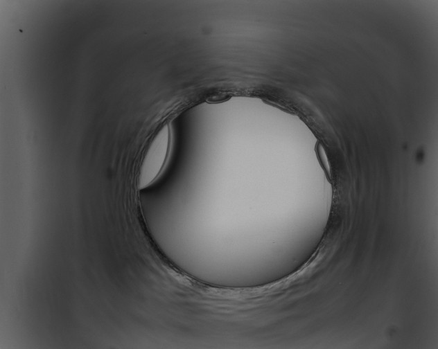 X0000101990045200807180835