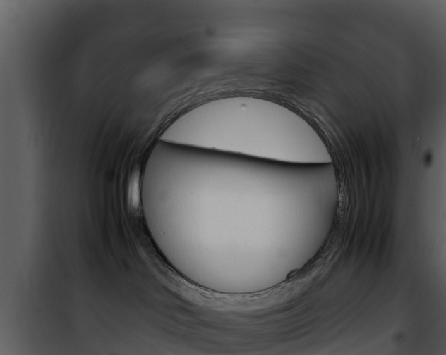 X0000101990046200807180835