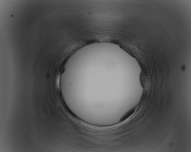 X0000101990047200807180835