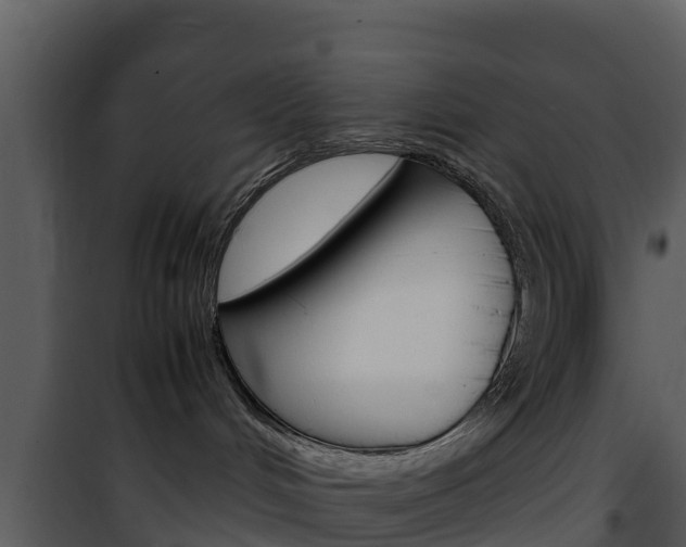 X0000101990048200807180835