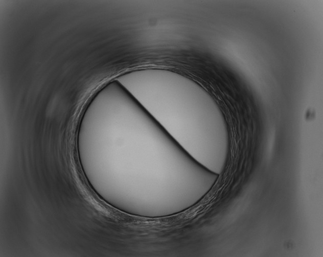 X0000101990049200807180834