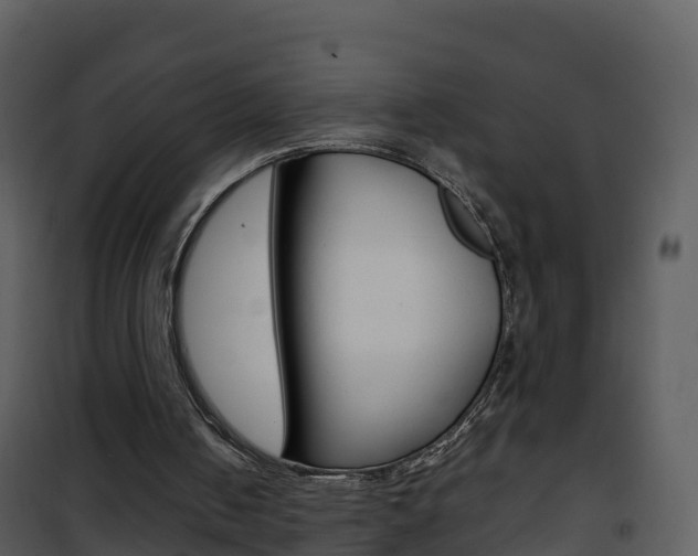 X0000101990050200807180834