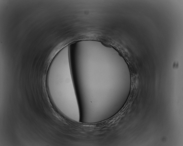 X0000101990051200807180834