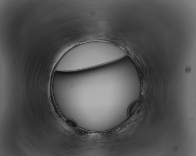 X0000101990052200807180834