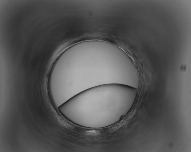 X0000101990053200807180834