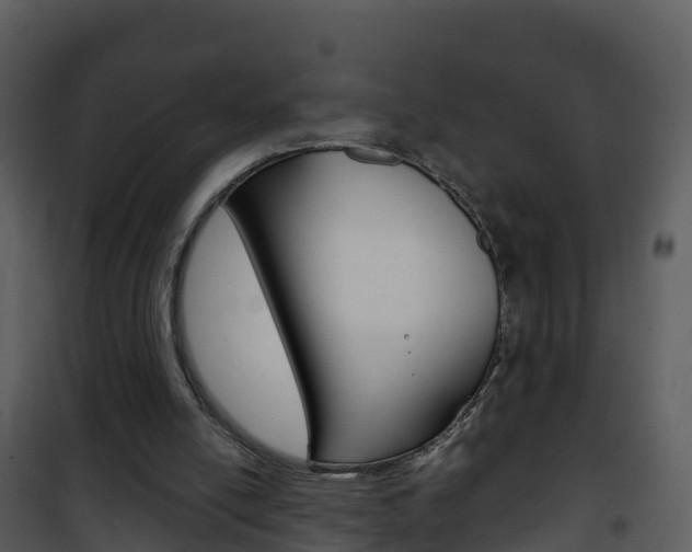 X0000101990054200807180834