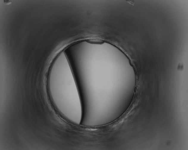 X0000101990055200807180834