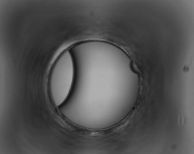 X0000101990056200807180834