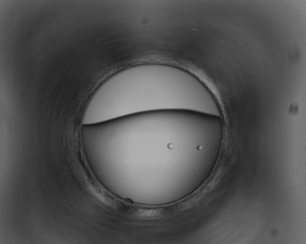 X0000101990057200807180834