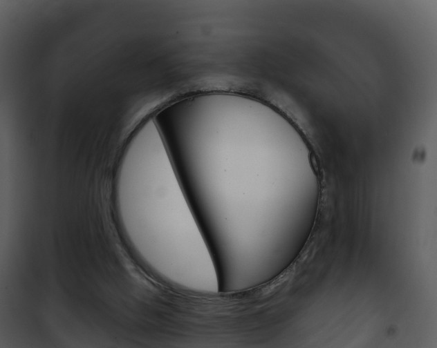 X0000101990058200807180834