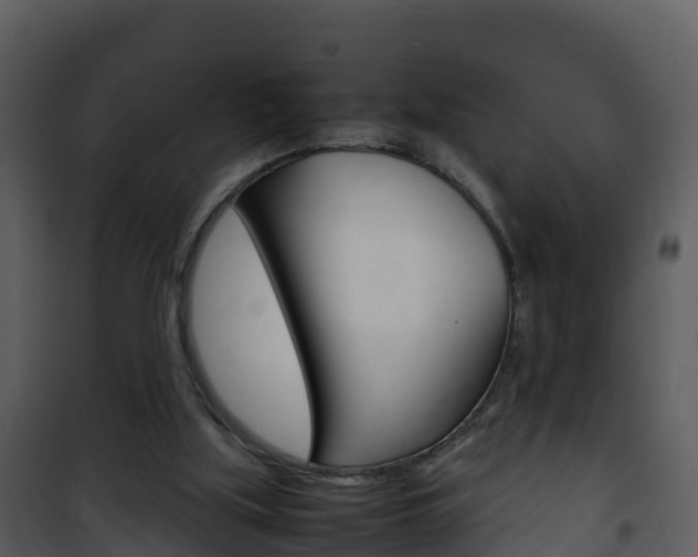 X0000101990059200807180834