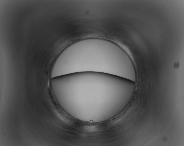X0000101990061200807180834