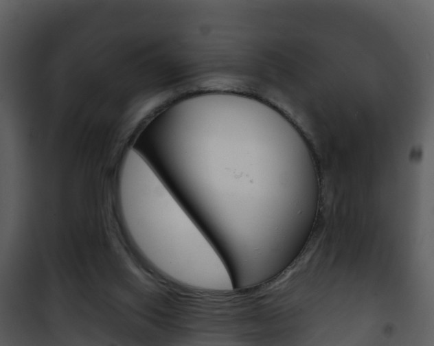 X0000101990062200807180834