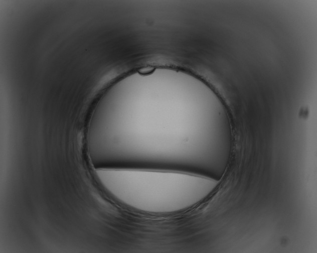 X0000101990063200807180834