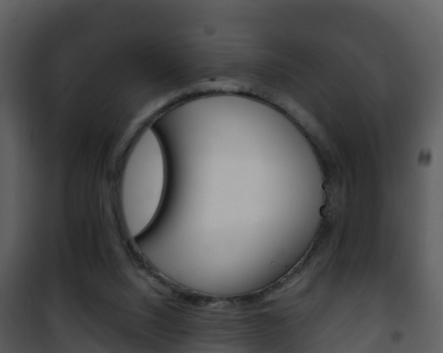 X0000101990064200807180834