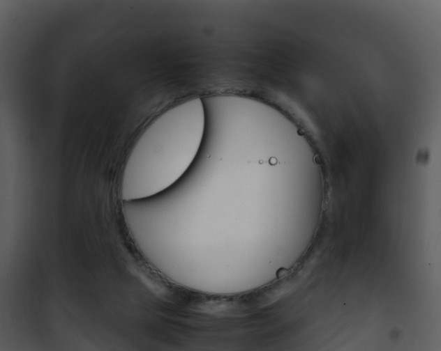 X0000101990065200807180834