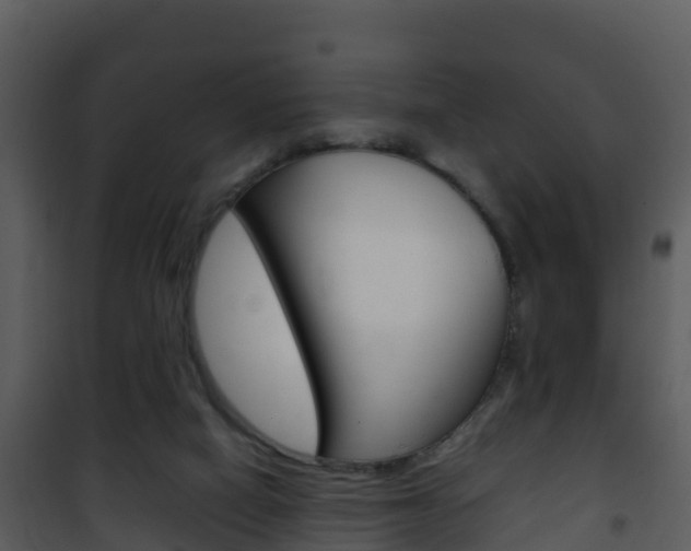 X0000101990066200807180834