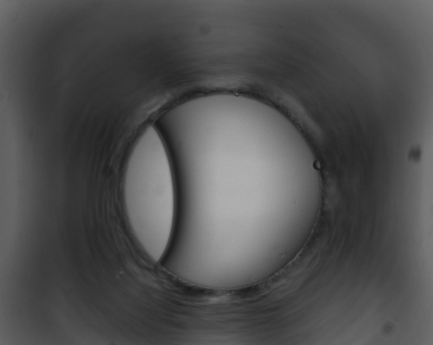 X0000101990068200807180834
