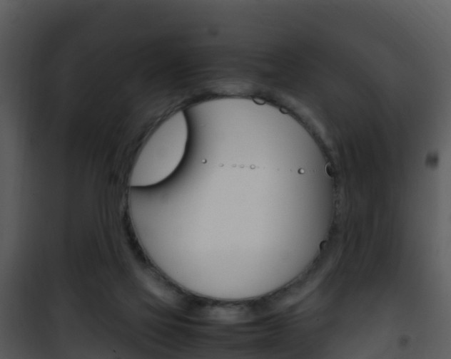 X0000101990069200807180834