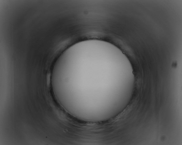 X0000101990070200807180834