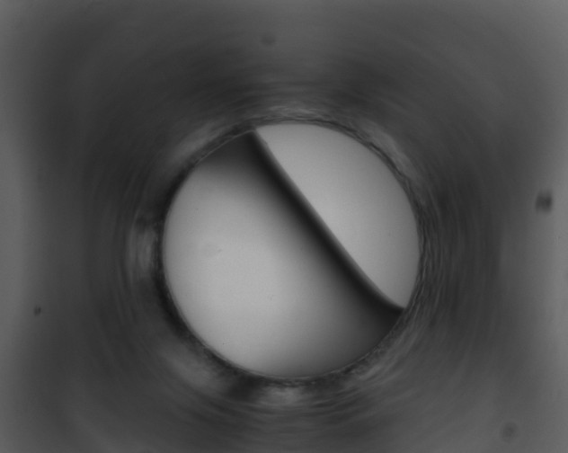 X0000101990071200807180834