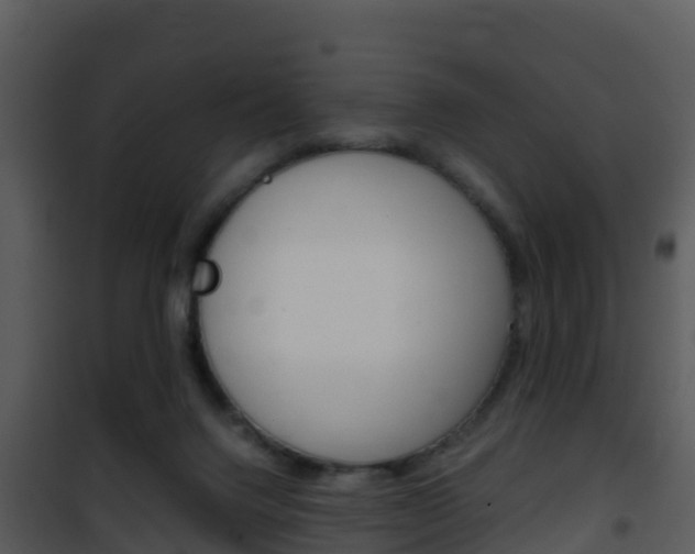 X0000101990072200807180834