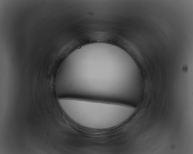 X0000101990073200807180834